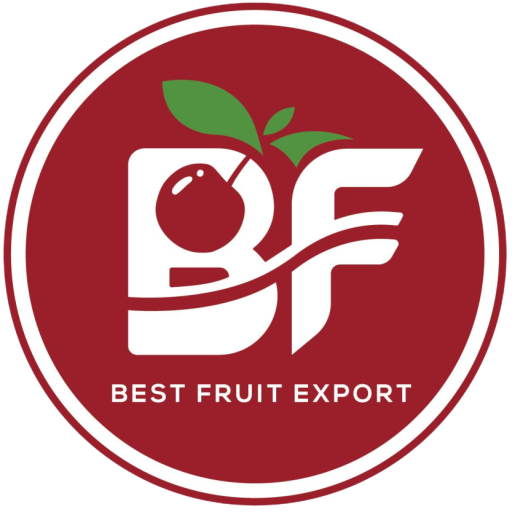 bestfruitexport.cl